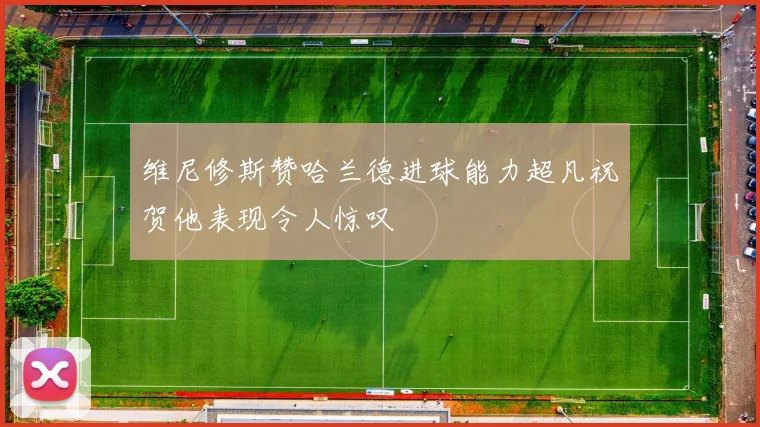 维尼修斯赞哈兰德进球能力超凡祝贺他表现令人惊叹